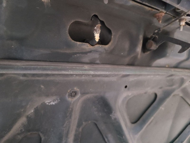 Hood Fits 01-07 SEQUOIA 677109