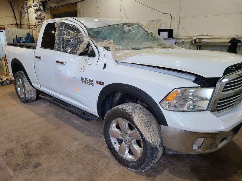 Driver Rear Side Door Classic Style Fits 09-24 DODGE 1500 PICKUP 66765