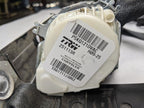 REAR RAM1500   2011 Seat Belt Rear 249410