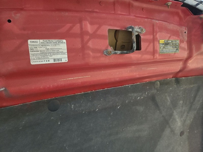 Hood Fits 09-14 FORD F150 PICKUP 665824