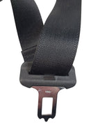 EDGE      2020 Seat Belt Rear 608046