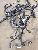 OUTBAKLEG 2024 Engine Wire Harness 608562