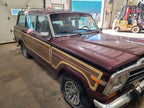 GRAND-WAG 1991 Front Door Trim Panel 678973