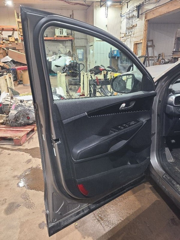 Driver Front Door Textured Black Moulding Fits 19-20 SORENTO 652219