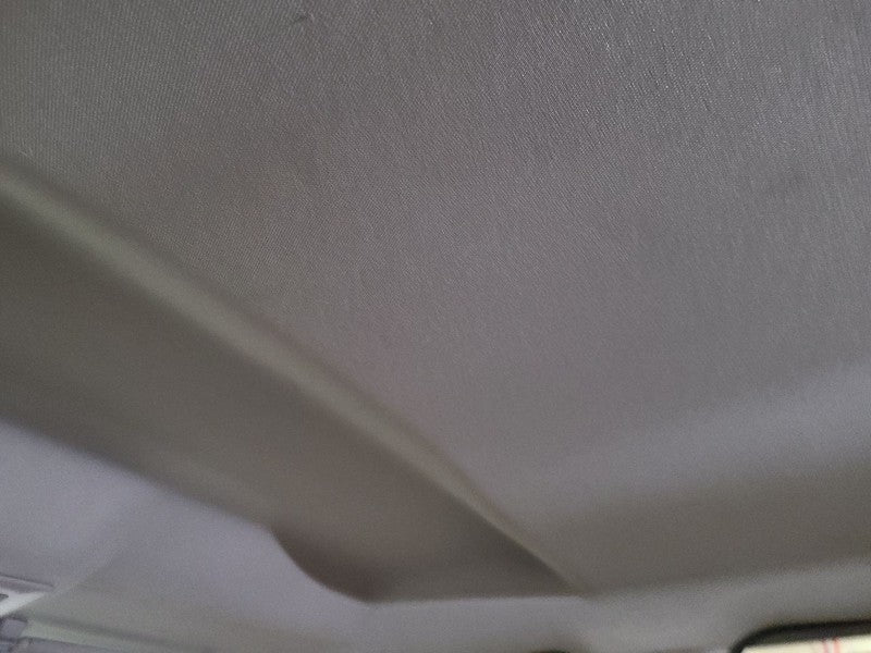 RAM2500   2010 Headliner 661996