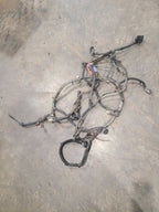 SILVRDO15 2014 Lamp Wiring Harness 670287