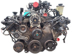 Engine 4.6L VIN 6 8th Digit Windsor Fits 97-98 EXPEDITION 672218