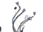 TACOMA    2002 Engine Wire Harness 635439
