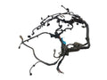 PRIUS     2014 Engine Wire Harness 651116