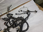 JOURNEY   2011 Engine Wire Harness 607465