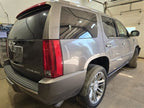 Passenger Corner/Park Light Fog-driving Fits 07-14 ESCALADE 597921