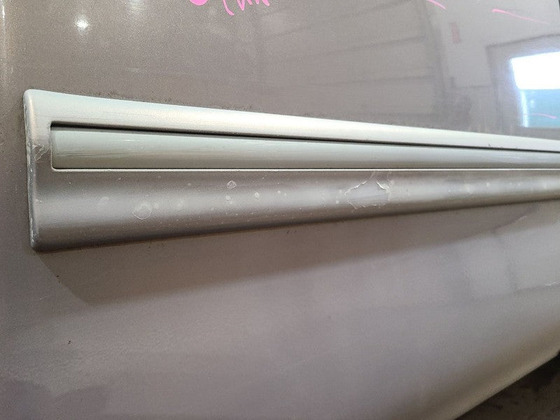 Passenger Rear Side Door Extended Cab Side Moulding Fits 00-06 TUNDRA 