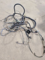PACER     1976 Engine Wire Harness 661331