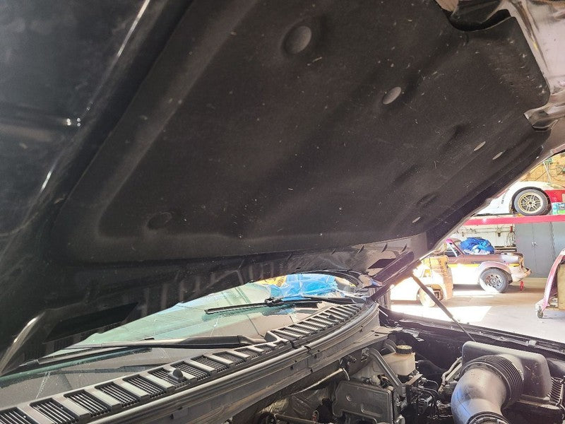 Hood Fits 18-24 EXPEDITION 679239