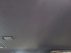 QX4       1999 Headliner 658269