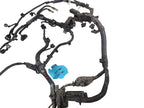 PRIUS     2014 Engine Wire Harness 651116