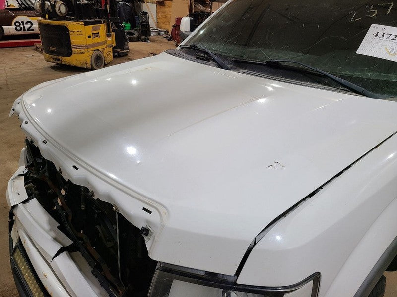 Hood Fits 09-14 FORD F150 PICKUP 664967