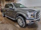 Grille Center XLT 5 Chrome Bars Fits 15-17 FORD F150 PICKUP 536940
