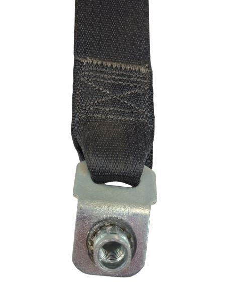 CARAVAN   2009 Seat Belt Rear 599164