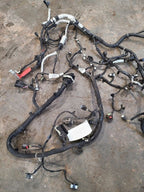 ESCAPE    2022 Engine Wire Harness 615125