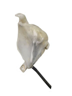 MIATA     1999 Coolant Reservoir 653257