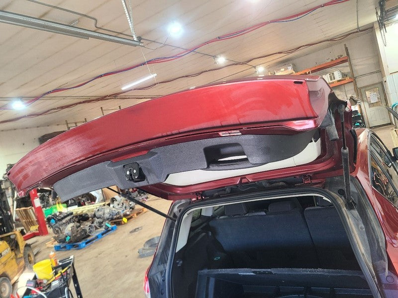 Trunk/Hatch/Tailgate Privacy Tint Glass Manual Lift Fits 14-16 ESCAPE 