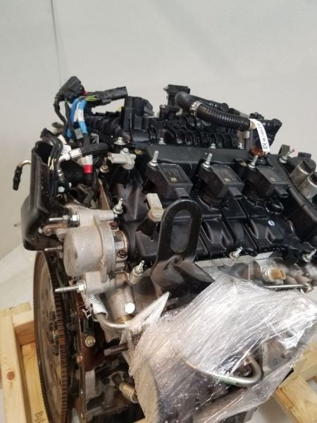 F150      2021 Engine 558738