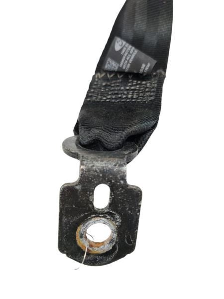 FOCUS     2017 Seat Belt Rear 601039