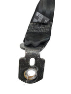 FOCUS     2017 Seat Belt Rear 601039