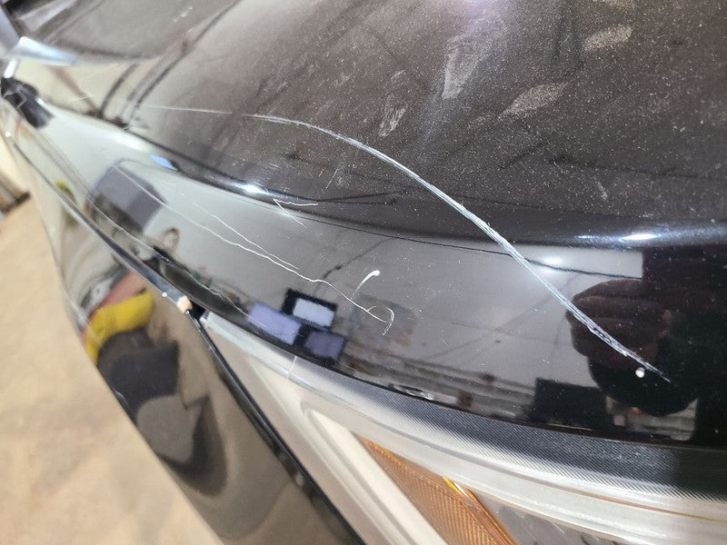 Hood Fits 16-19 EXPLORER 663598