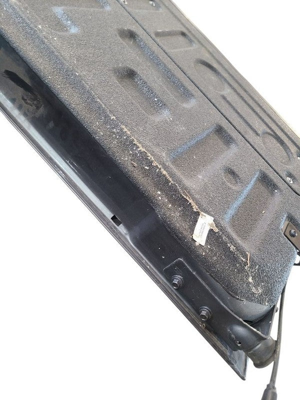 Trunk/Hatch/Tailgate Without Tailgate Step Fits 21-25 FORD F150 PICKUP