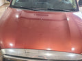 Hood Fits 08-22 SEQUOIA 676583