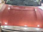 Hood Fits 08-22 SEQUOIA 676583