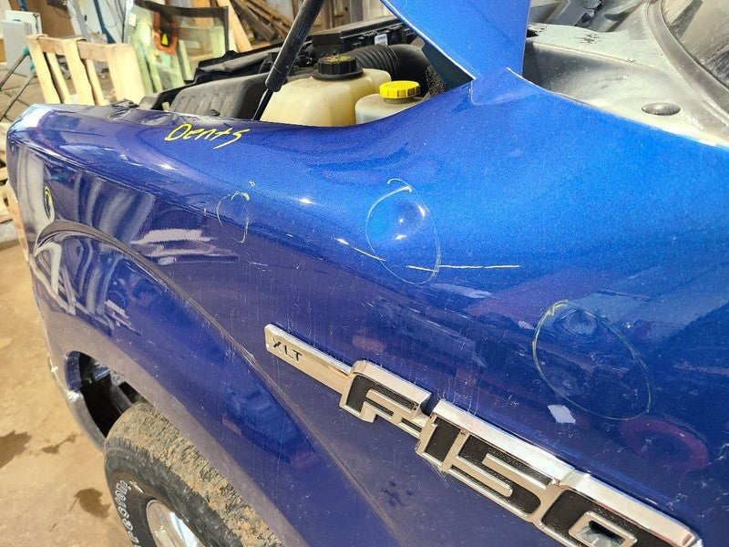 Driver Fender Without Wheel Lip Moulding Fits 09-14 FORD F150 PICKUP 6
