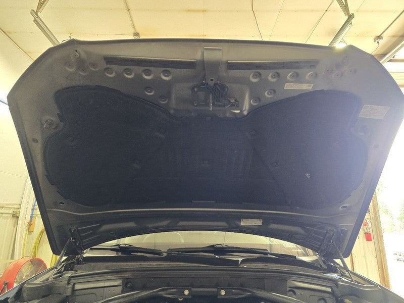 Trunk/Hatch/Tailgate With Spoiler Fits 09-12 AUDI Q5 639007