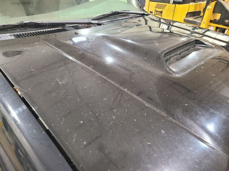 Hood With Hood Scoop Fits 99-02 4 RUNNER 677449