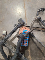 SILVRDO15 2014 Lamp Wiring Harness 670287