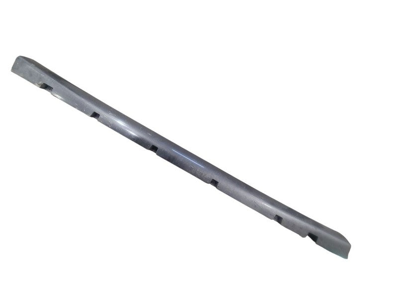 CHARGER   2019 Rocker Panel Moulding 676167