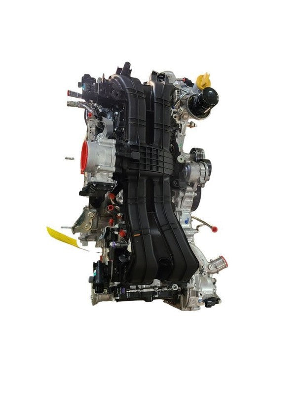 OUTBAKLEG 2024 Engine 608506