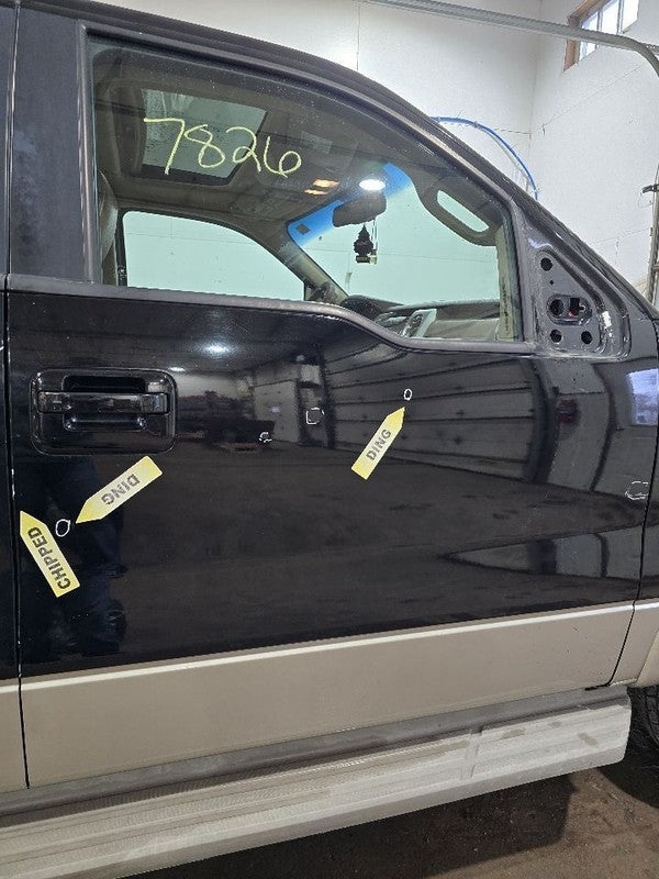 Passenger Front Door Electric Fits 09-14 FORD F150 PICKUP 623676