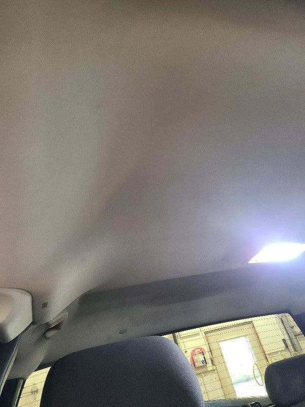 SILVRDO15 2010 Headliner 679203