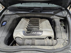 Seat Belt Front Bucket Seat Passenger Fits 03-06 08-10 PORSCHE CAYENNE