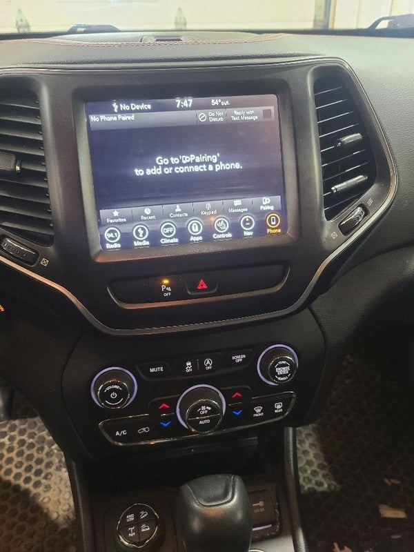 Passenger Quarter Glass Privacy Tint Black Trim Fits 19 CHEROKEE 66170