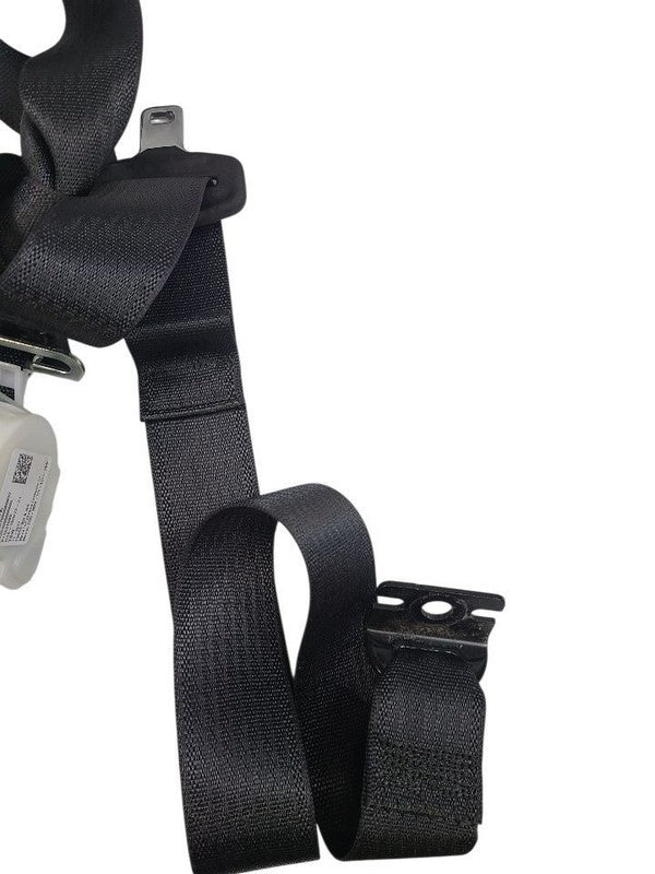SILVRDO15 2018 Seat Belt Rear 637196