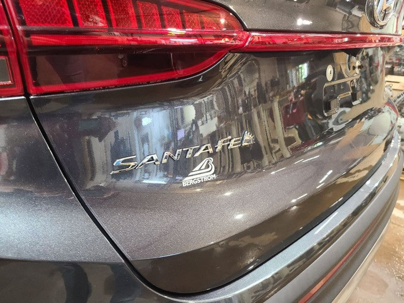 Trunk/Hatch/Tailgate US Built Power Liftgate Fits 21-23 SANTA FE 66793