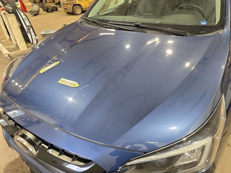 Hood Fits 20-23 LEGACY 626886