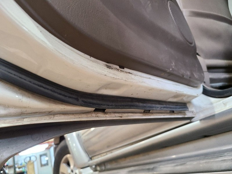 Driver Rear Side Door Limited Body Side Moulding Fits 96-02 4 RUNNER 6