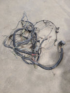 PACER     1976 Engine Wire Harness 661331