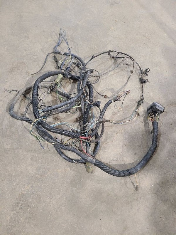 PACER     1976 Engine Wire Harness 661331