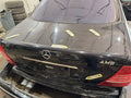 Trunk/Hatch/Tailgate 220 Type S600 Fits 00-02 MERCEDES S-CLASS 628965